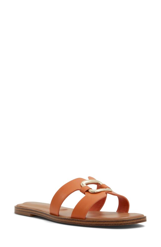 ALDO Nydaokin Slide Sandal in Other Orange Cover