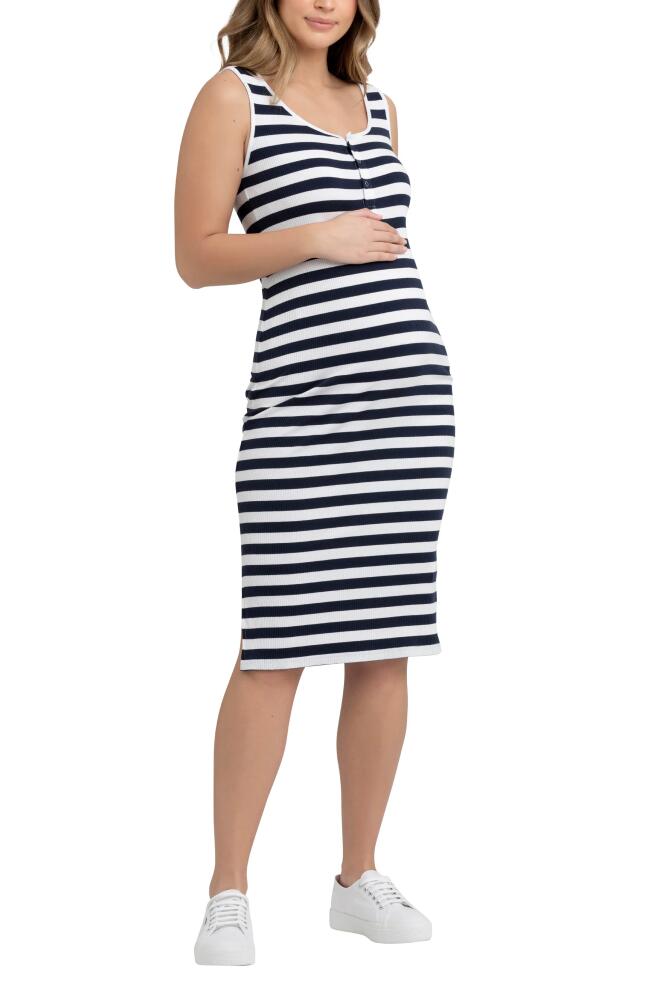 Ripe Maternity Lee Stripe Snap Button Maternity/Nursing Dress in Navy /White Cover