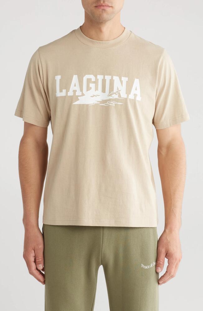 Museum of Peace & Quiet Laguna Cotton Graphic T-Shirt in Taupe Cover