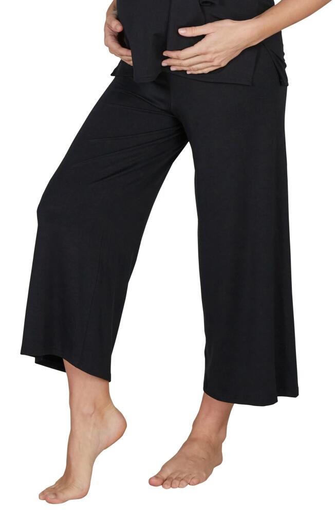 Cache Coeur Origin Wide Leg Maternity Pants in Black Cover