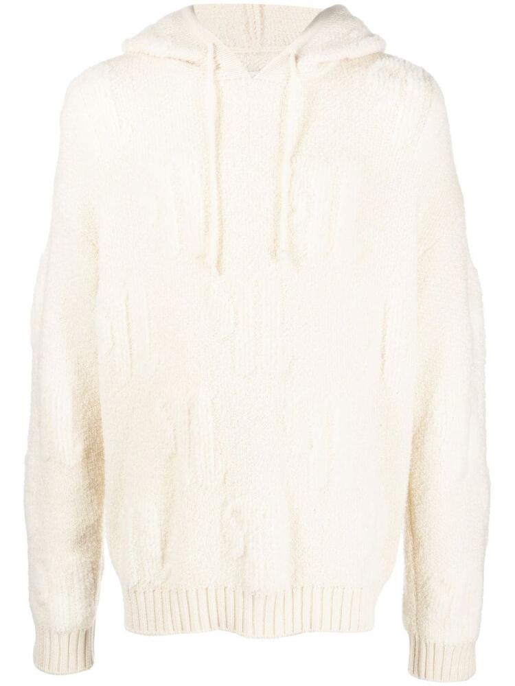 Nanushka knitted pullover hoodie - Neutrals Cover