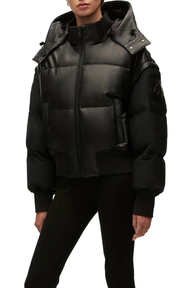 Moose Knuckles Quilted Bomber Jacket in Black Cover