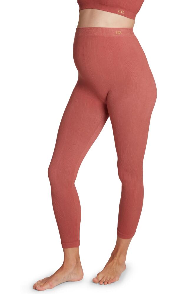 Cache Coeur Zoe Ribbed Crop Maternity Leggings in Terracotta Cover