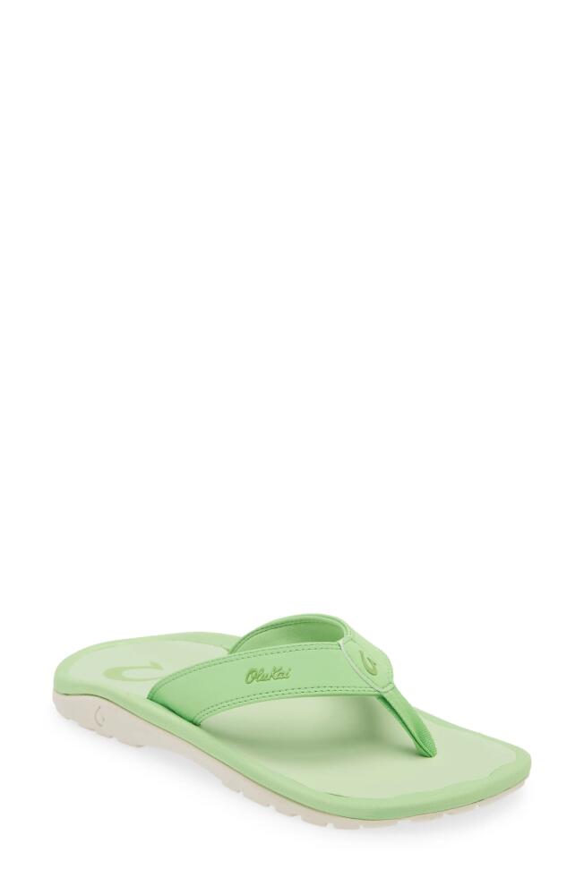 OluKai Ohana Flip Flop in Frog /Frog Cover