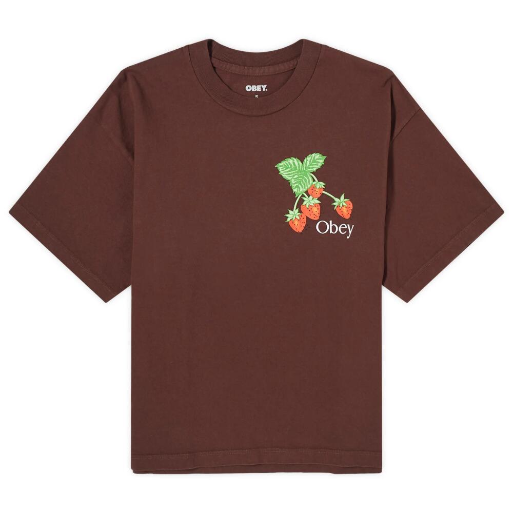 Obey Women's Strawberry Bunch T-Shirt in Java Brown Cover