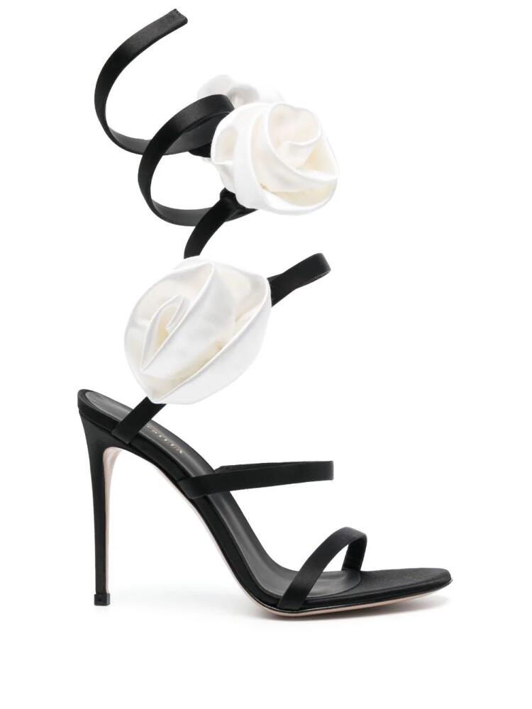 Le Silla Rose high-heel sandals - Black Cover