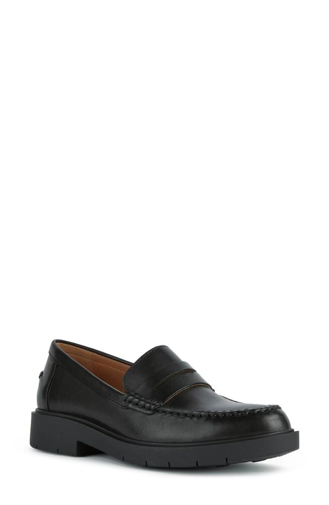 Geox Spherica Penny Loafer in Black Cover