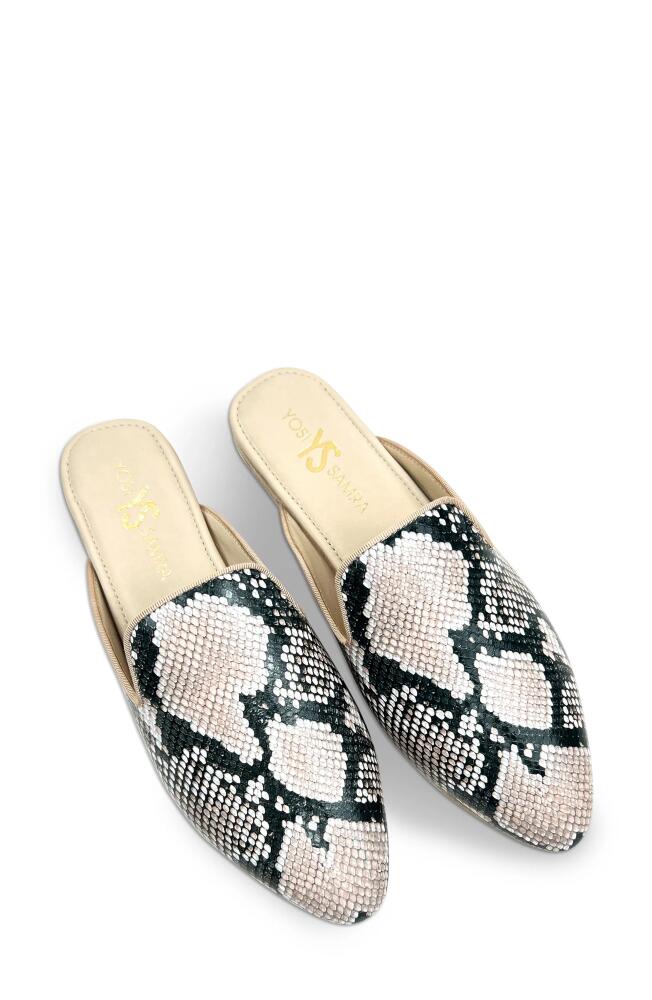 Yosi Samra Vidi Snake Embossed Mule in Natural Snake Cover