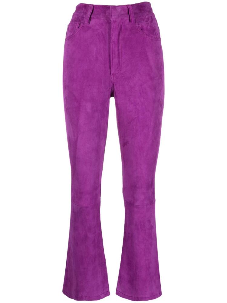 PAULA Zircon suede flared trousers - Purple Cover