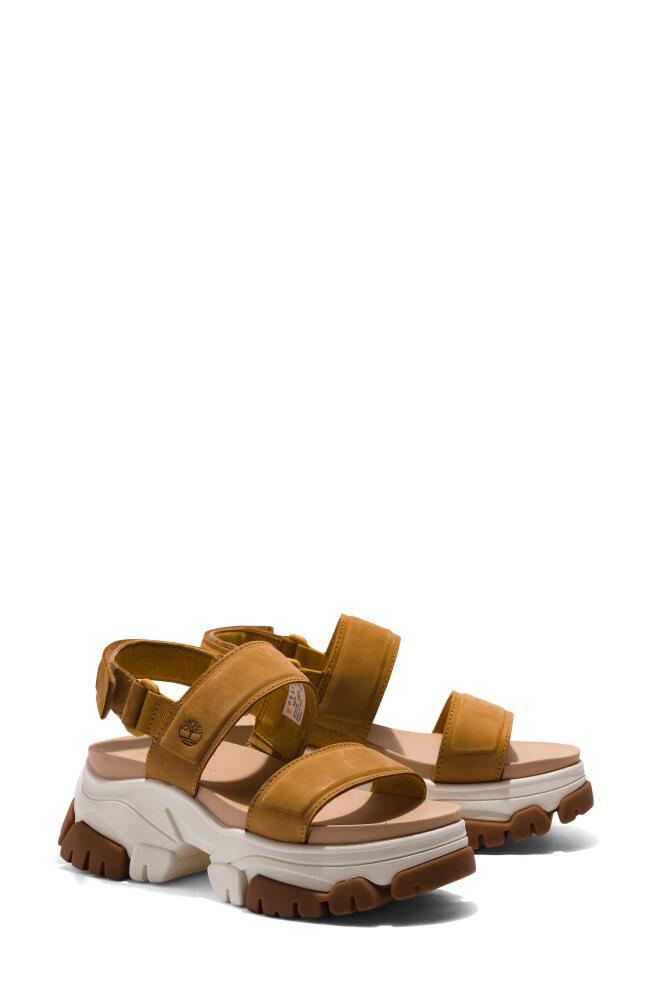 Timberland Adley Way Platform Sandal in Wheat Nubuck Cover