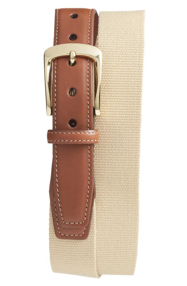 Torino European Surcingle Belt in Camel Cover