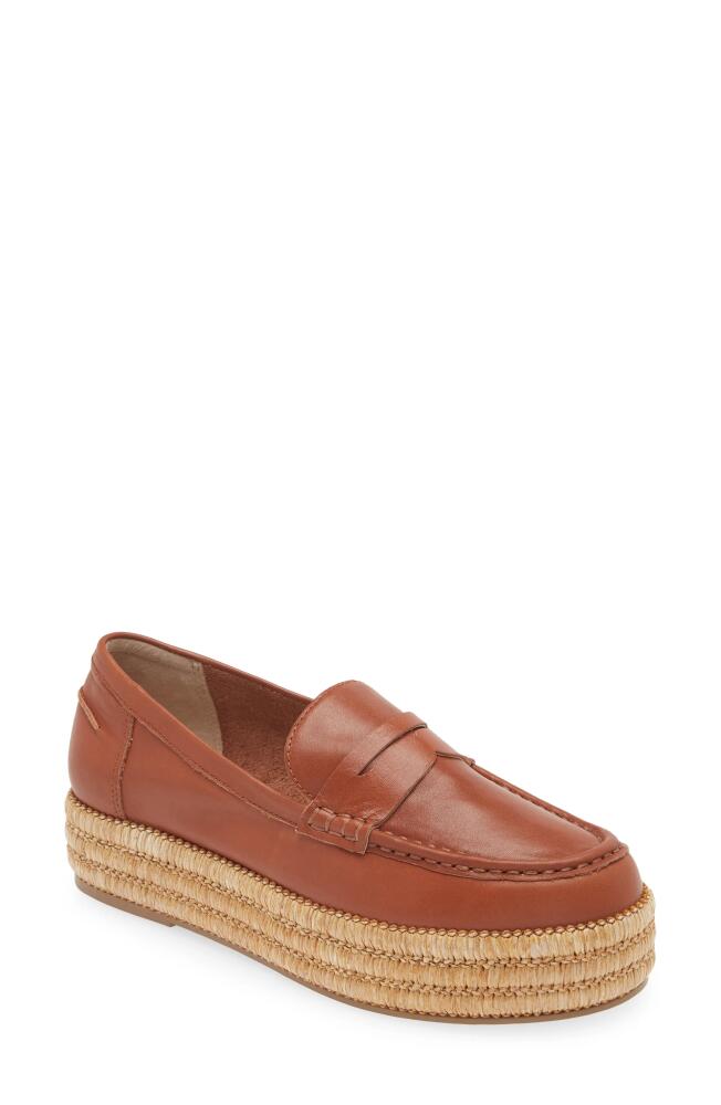 Cecelia New York Greta Platform Penny Loafer in Cognac Oiled Leather Cover