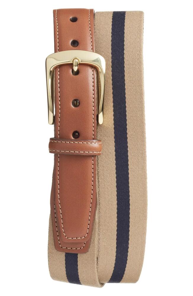 Torino European Surcingle Belt in Camel/Navy Cover