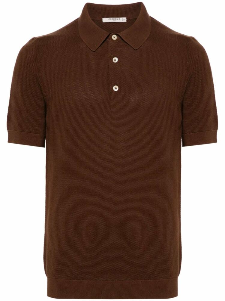 Circolo 1901 knitted polo shirt - Brown Cover