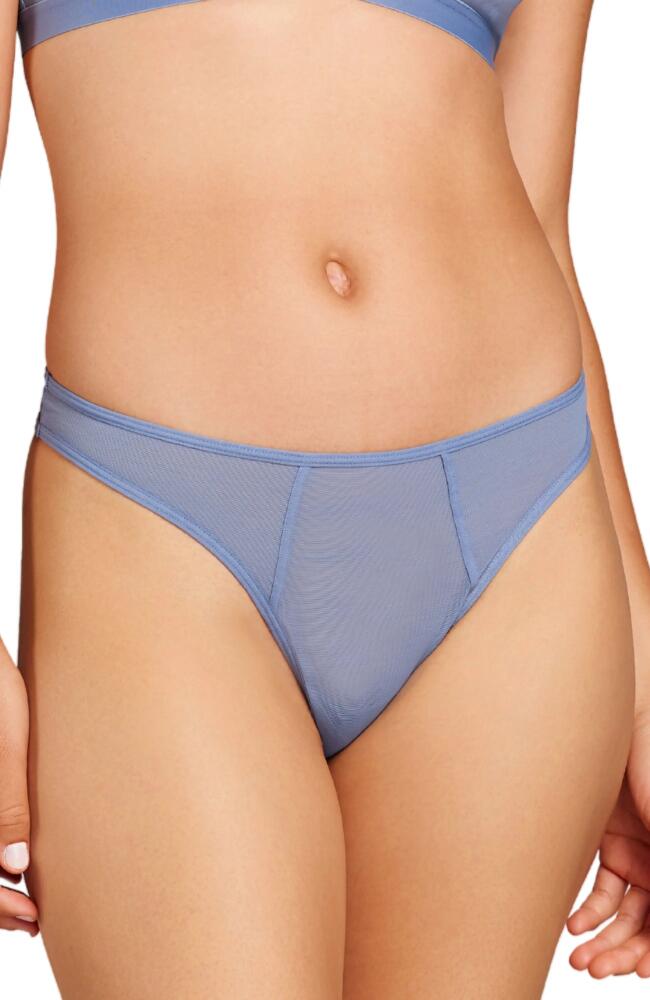 Siella Power Mesh Thong in Blue Grey Cover