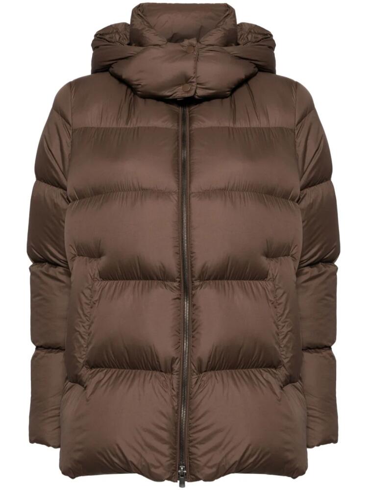 JNBY hooded puffer jacket - Brown Cover