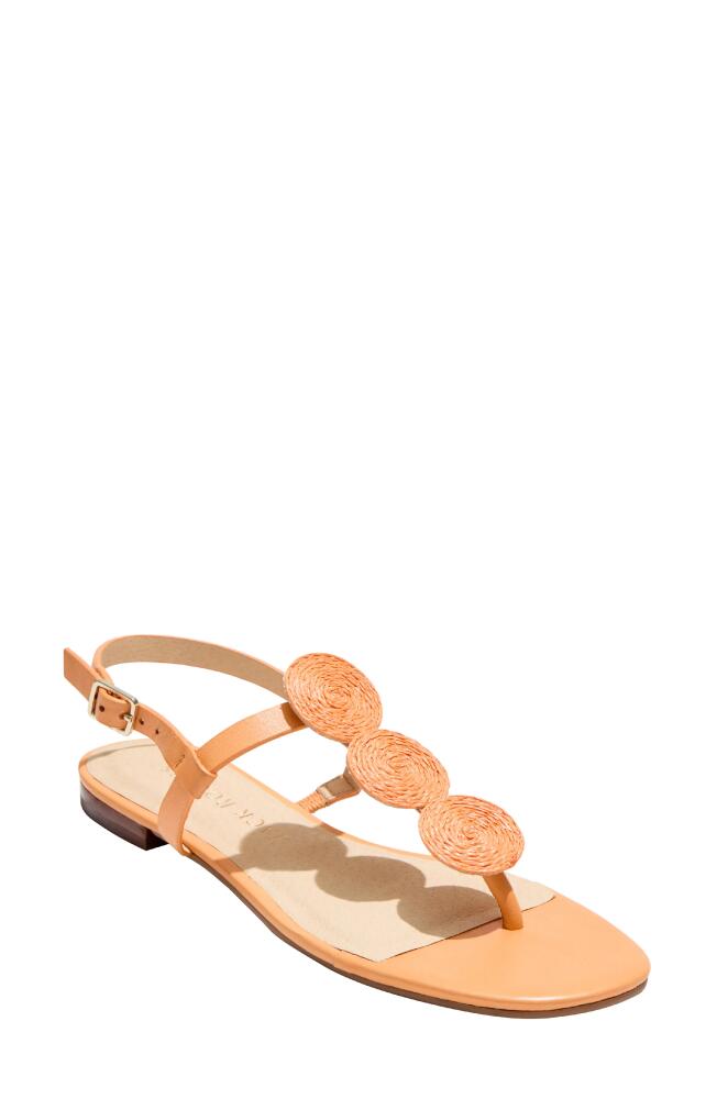 Jack Rogers Worth Slingback Sandal in Apricot Cover