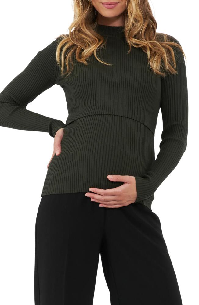 Ripe Maternity Lift Up Rib Maternity/Nursing Sweater in Ivy Cover