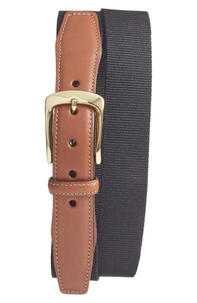 Torino European Surcingle Belt in Black Cover