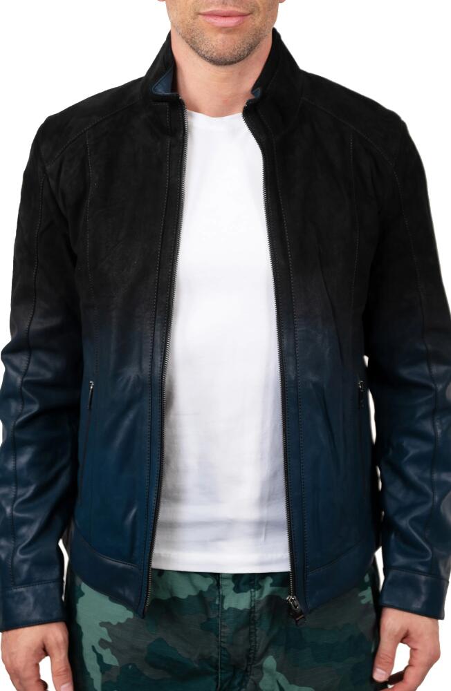 Maceoo Lambskin Leather Jacket in Blue Cover