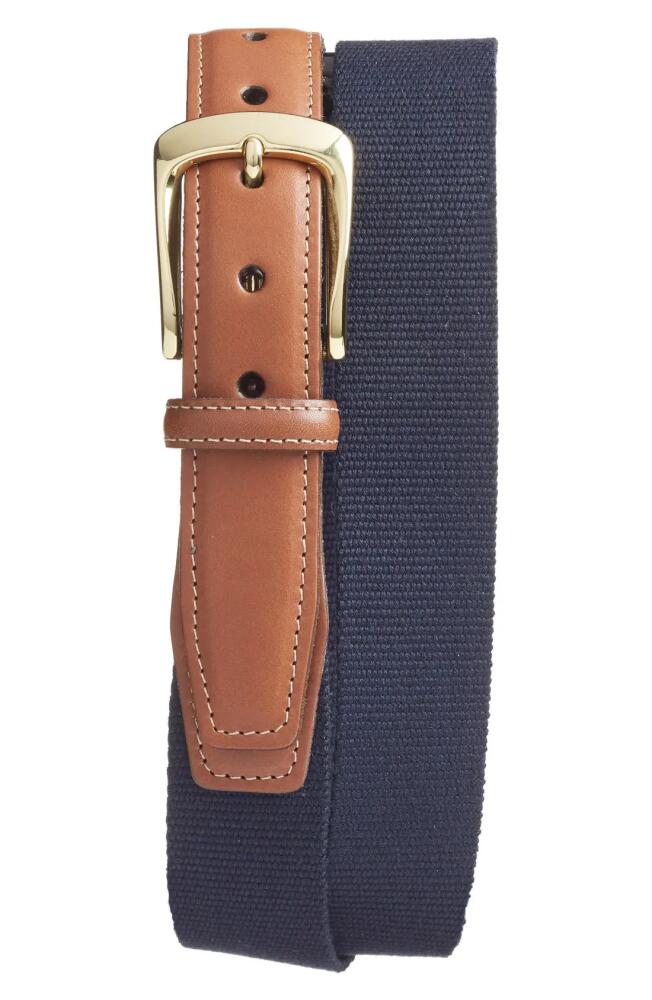 Torino European Surcingle Belt in Navy Cover