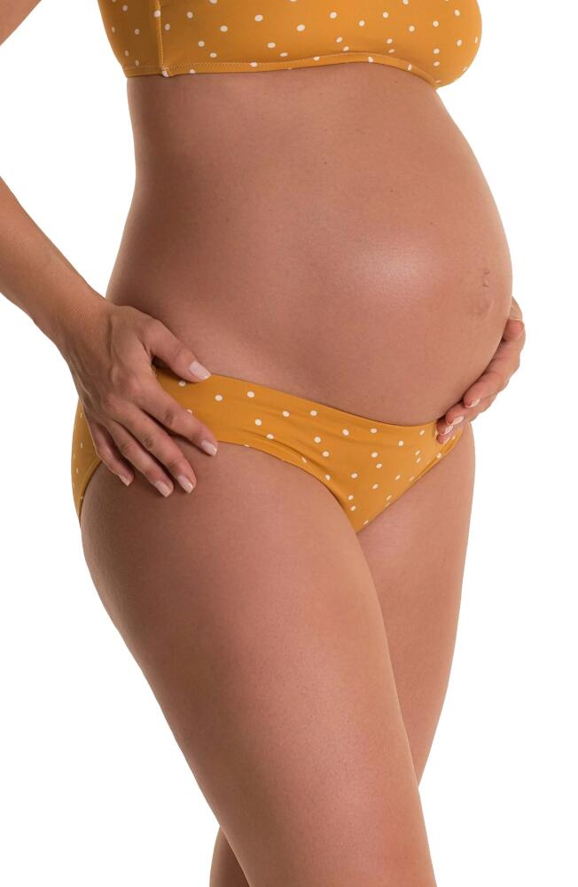 Pez D'Or Olivia Maternity Bikini Bottoms in Mustard Cover