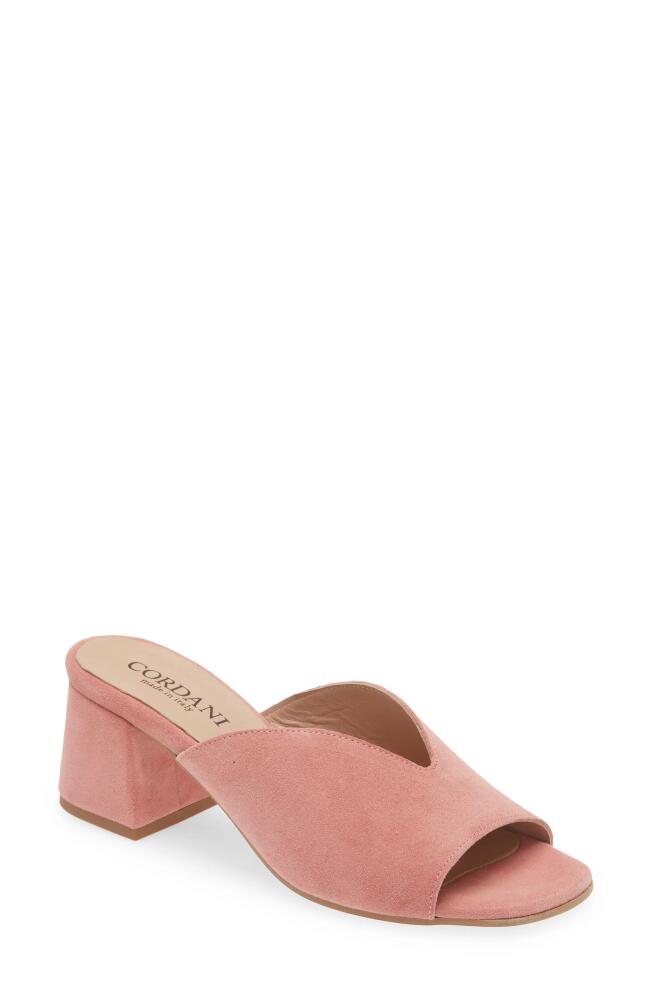 Cordani Pollie Slide Sandal in Rose Suede Cover