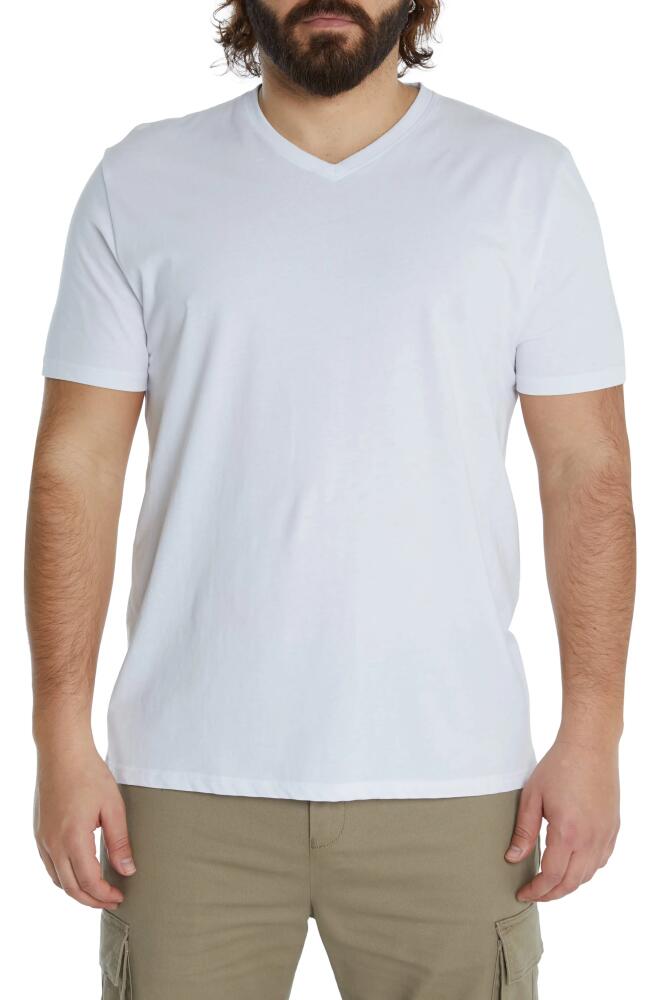 Johnny Bigg Essential V-Neck T-Shirt in White Cover