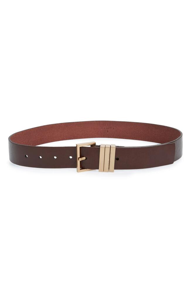 AllSaints Leather Belt in Claret /Warm Brass Cover