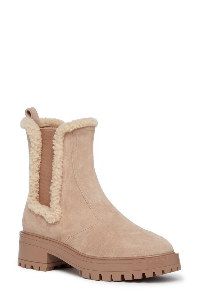 PAIGE Bowie Genuine Shearling Trim Chelsea Boot in Light Tan Cover