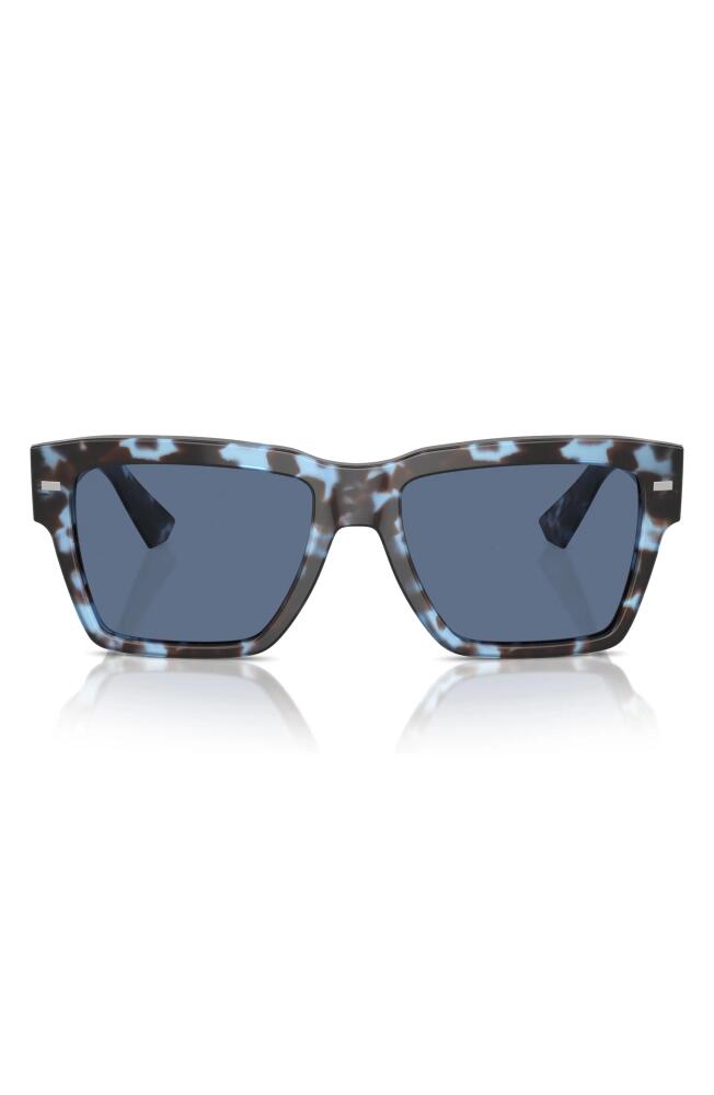 Dolce & Gabbana 55mm Square Sunglasses in Havana Blue Cover