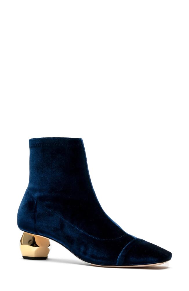 Frances Valentine Marni Bootie in Navy Cover