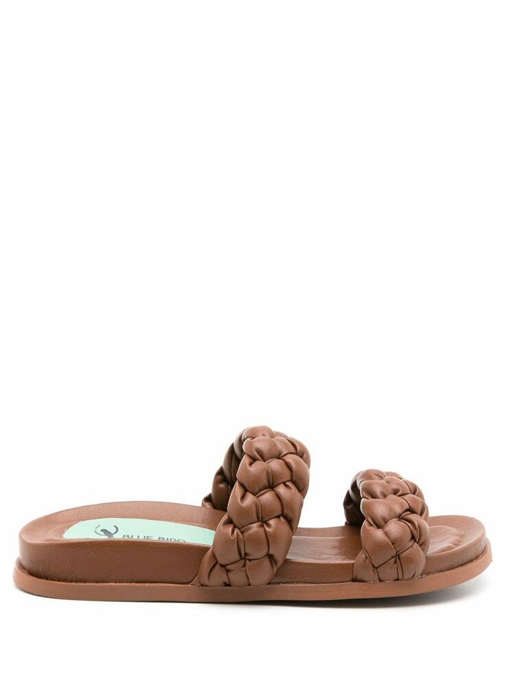 Blue Bird Shoes woven-strap sandals - Brown Cover