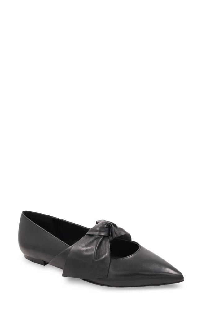 bcbg Prely Pointed Toe Flat in Black Cover