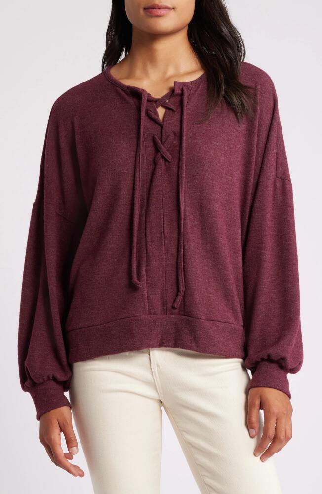 Loveappella Lace-Up Knit Top in Plum Cover