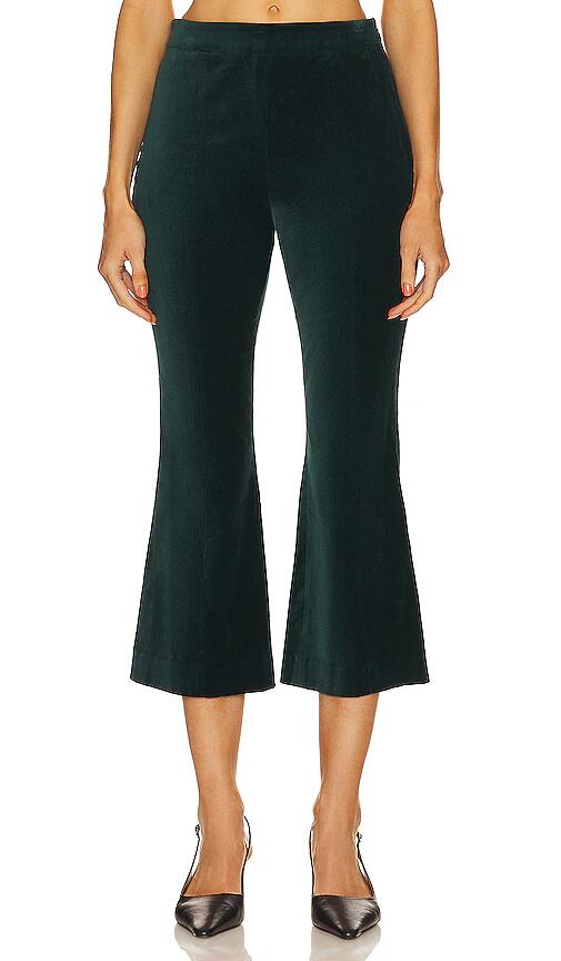 BCBGMAXAZRIA Velvet Crop Pant in Dark Green Cover