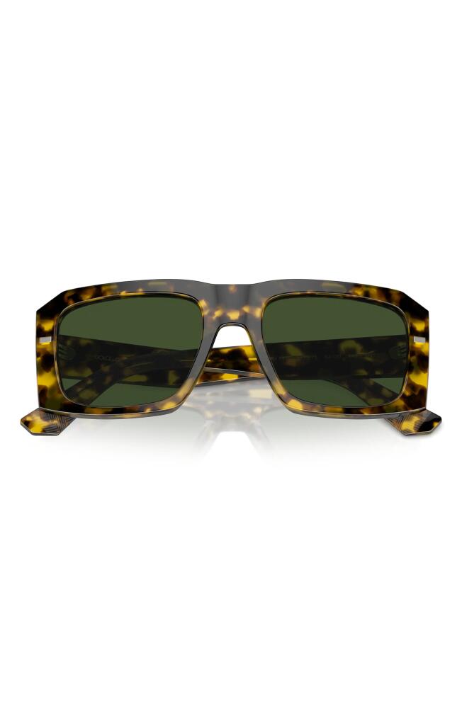 Dolce & Gabbana 54mm Square Sunglasses in Yellow Havana Cover