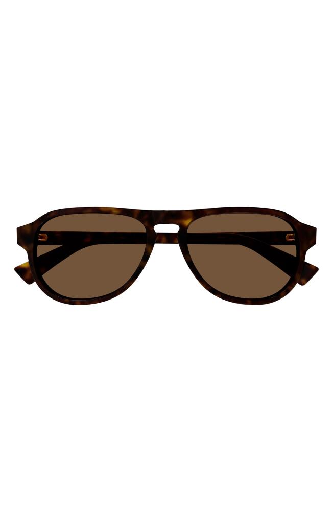 Bottega Veneta 55mm Pilot Sunglasses in Havana Cover