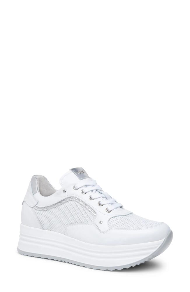 NeroGiardini Perfed Platform Sneaker in White Cover