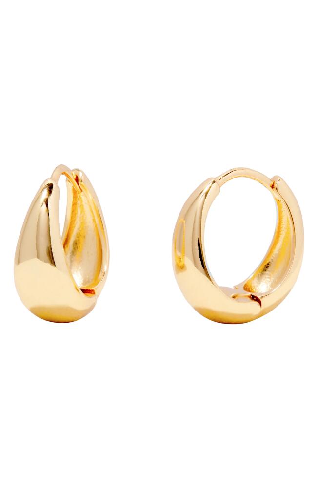 Brook and York Aubrey Huggie Hoop Earrings in Gold Cover