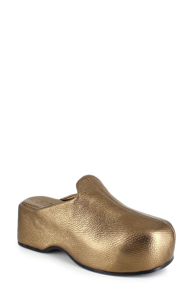 ZIGI Kristen Platform Clog in Bronze Leather Cover