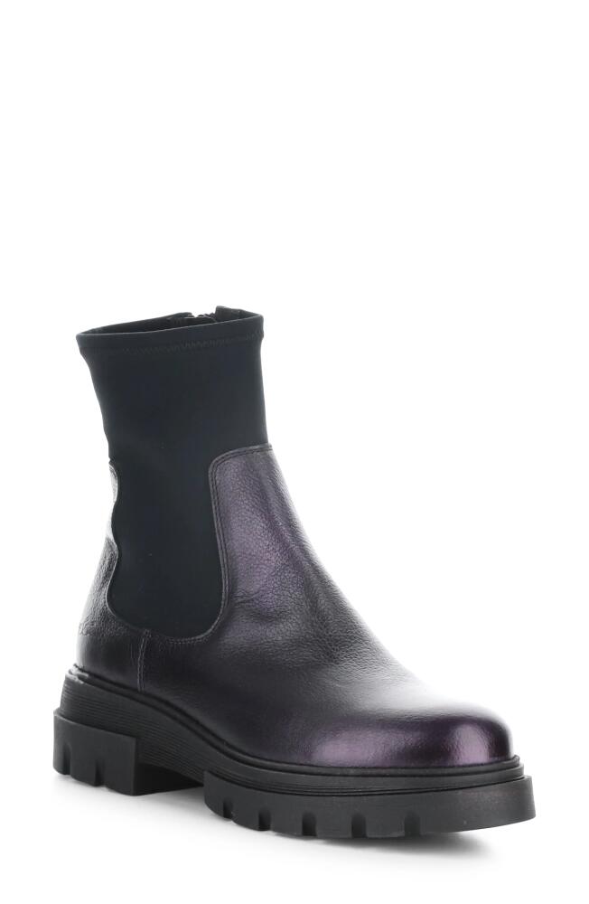 Bos. & Co. Five Waterproof Chelsea Boot in Magenta/Black Vetro/Trico Cover