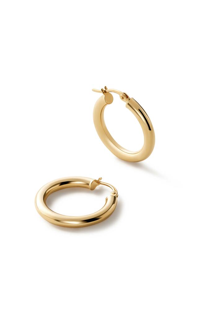 Ana Luisa Chunky Gold Hoop Earrings - Gold Classic Hoops Medium Cover