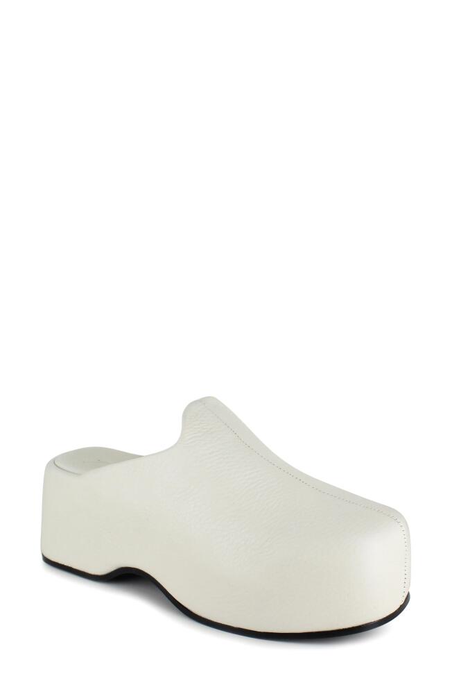 ZIGI Kristen Platform Clog in Bone Leather Cover