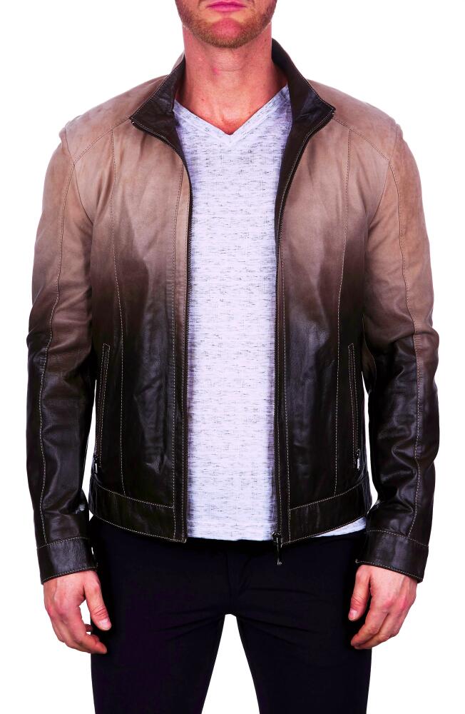 Maceoo Degrade Ombré Leather Jacket in Brown Cover