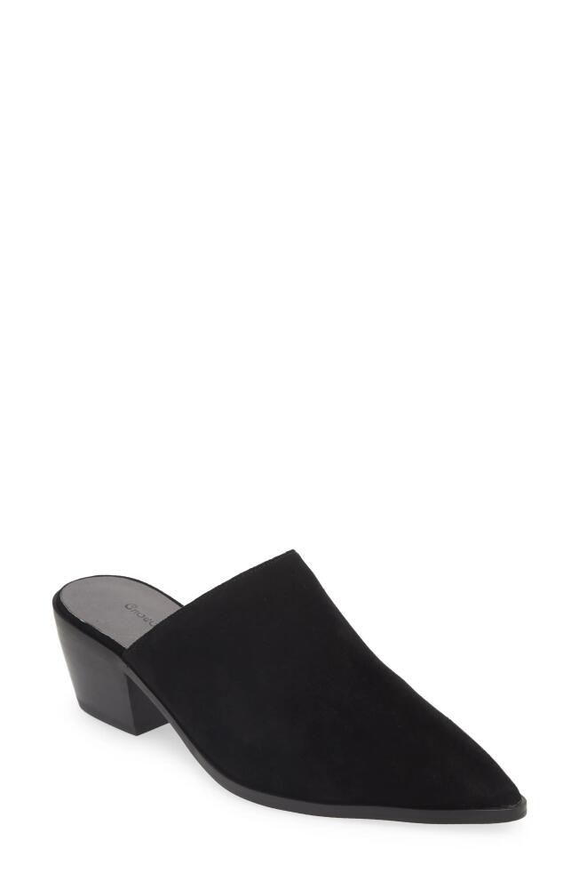 Chocolat Blu Cellia Pointed Toe Mule in Black Suede Cover