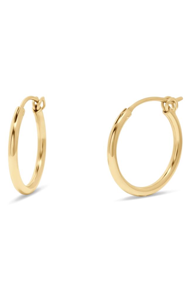 Brook and York Nellie Hoop Earrings in Gold - 19Mm Cover