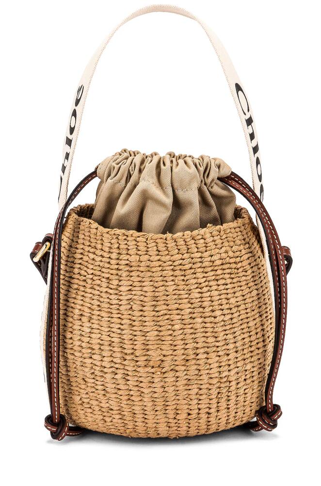 Chloe Small Woody Basket Bag in White Cover