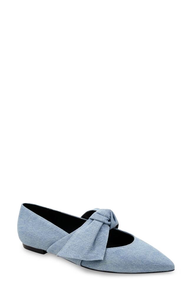 bcbg Prely Pointed Toe Flat in Denim Cover