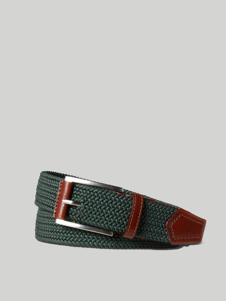 Robert Talbott Stretch Nylon Garfield Belt in Green Cover